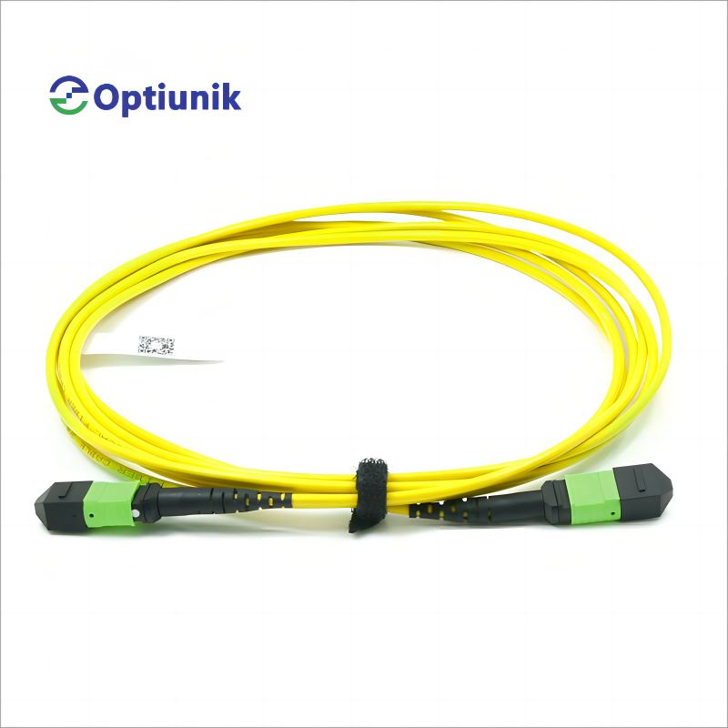 MTP/MPO Patch Cord